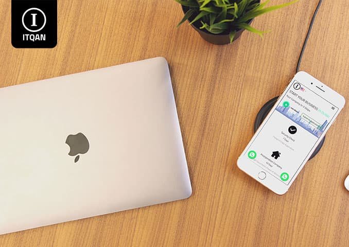 Establishment of a company in the free zone